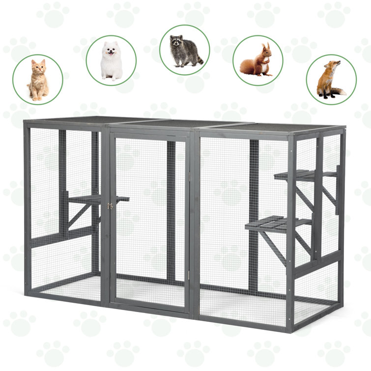 Cat outdoor hot sale enclosure